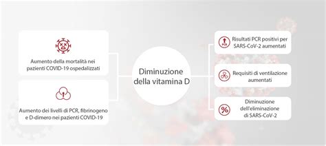 Correlazione Tra Vitamina D E COVID 19 Mindray