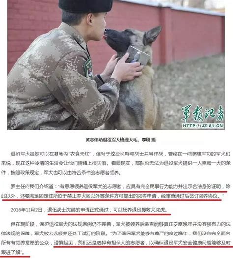 这部关于军犬的电影你不能错过，生命中三分之二时间奉献部队 军犬 瑞克斯 梅根 新浪新闻