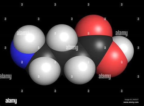 Gaba Gamma Aminobutyric Acid Inhibitory Neurotransmitter Molecule D