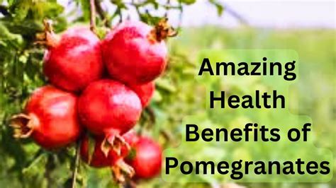 10 Amazing Health Benefits Of Pomegranates Youtube