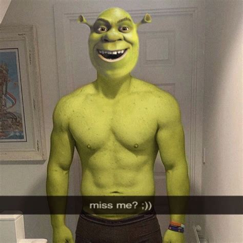 Пин от пользователя Booty Cheeks на доске Shrek Шрек Мемы Рабочие мемы