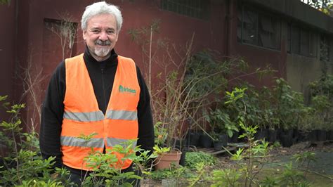 Plantar 100 000 árboles Nativos Una Asociación Civil Genera Conciencia Ambiental Con Un