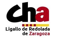 CHA Zaragoza Defiende Un Nuevo Modelo Cultural Que Defienda La Libre