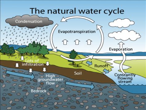 NBS BENEFIT 14 INFILTRATION Nature Based Solutions Group