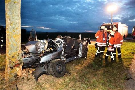 Vogel Verursacht Unfall J Hriger Prallt Gegen Baum