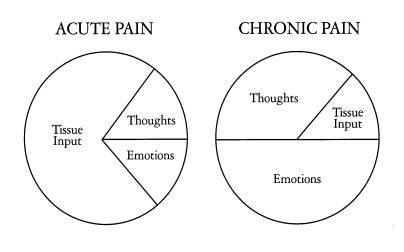 Chronic vs. Acute Pain | Precision