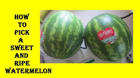 How To Pick A Sweet And Ripe Watermelon Youtube