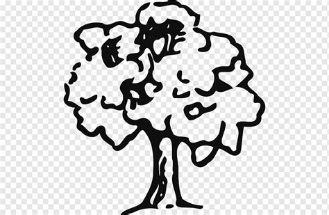 árbol roble dibujo caoba blanco rama monocromo png PNGWing