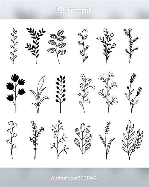 the different types of plants are shown in black and white