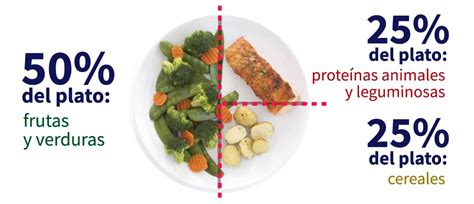 El plato del buen comer La guía de alimentación que debes conocer