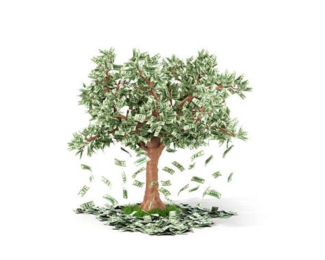 Money Falling From Tree Stock Photos Pictures And Royalty Free Images