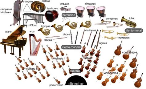 Orquesta Sinf Nica Orquesta Clarinetes Instrumentos Orquesta