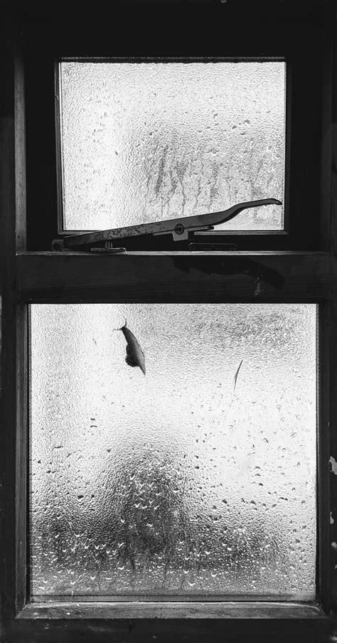 Rainy day window : r/pics