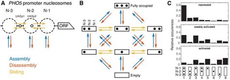 Effective Dynamics Of Nucleosome Configurations At The Yeast PHO5