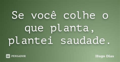 Se você colhe o que planta plantei Hugo Dias Pensador