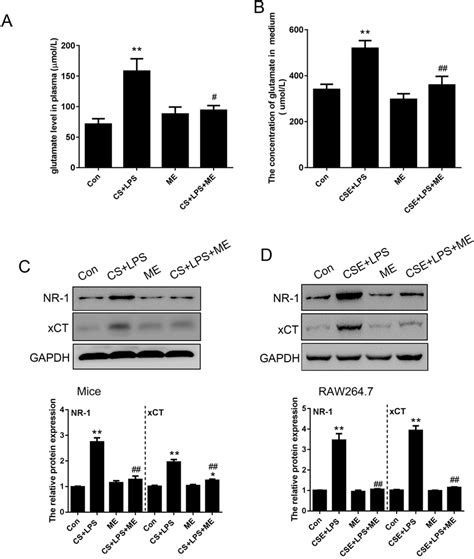 Memantine Inhibited CS And LPS Induced Glutamate Release A B The