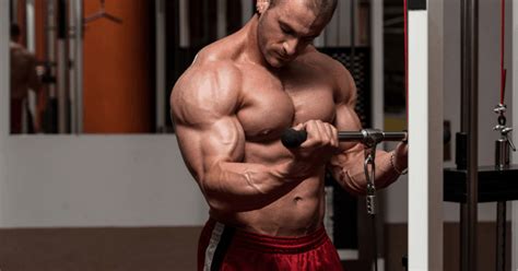 Top 9 Cable Machine Exercises For Bigger Stronger Arms