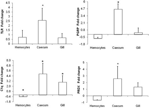 Fold Change In Gene Expression Analysis By Rt Qpcr Tissue Expression