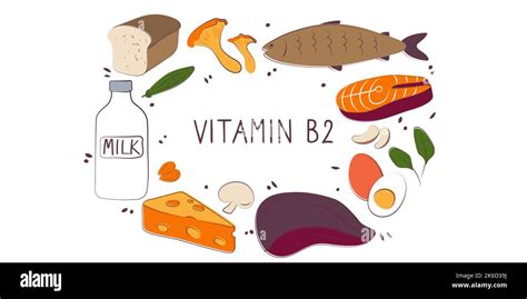 Vitamin B2 Riboflavin Groups Of Healthy Products Containing Vitamins