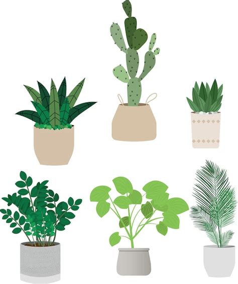 Hermosas Plantas De Interior En Macetas Vector Premium