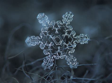 29 Incredible Close Ups Of Snowflakes Shot With A Homemade Camera Rig