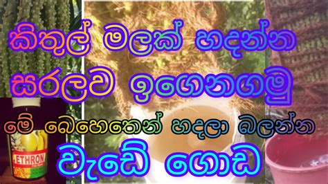 කිතුල් මල ඉහිරවා ගැනීමේ සිට මලේ අග කැපිම දක්වා සරලව ඉගෙනගමු 👍how To