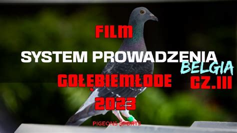 Go Bie Pocztowe System Prowadzenia Go Bi M Odych W Belgi Cz Iii