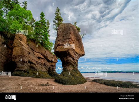 The Hopewell Rocks Also Known As The Flowerpot Rocks Along The Bay Of