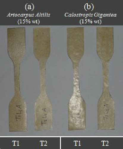 A Set Of Specimens Made Of Red Algae Bioplastics Blended With Latex Download Scientific Diagram