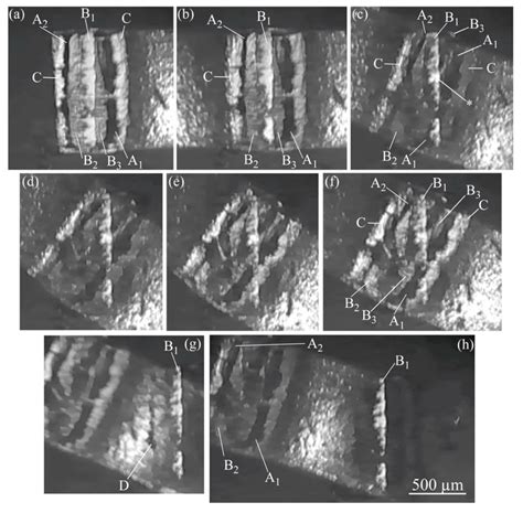 Applied Sciences Free Full Text In Situ Observation Of Adhesion