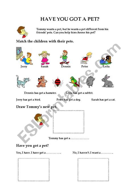 Have You Got A Pet Esl Worksheet By Istanbul