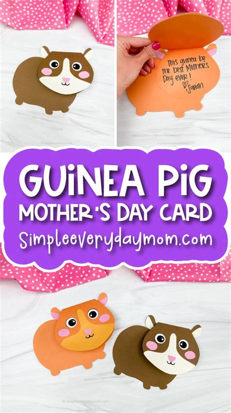 Guinea Pig Mothers Day Card Craft Free Template Guinea Pigs Pig