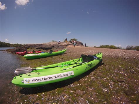 May 25 Orchard Beach And Pelham Bay Harborlab