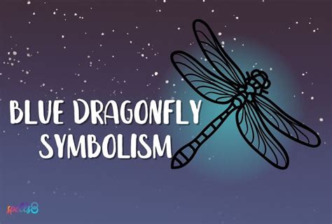 Blue Dragonfly Meaning: Omens from Insects & Nature – Spells8