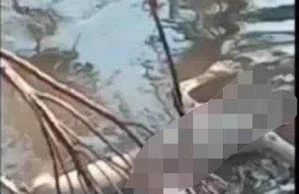 Semula Disangka Boneka Ternyata Mayat Perempuan Mengapung Di Sungai