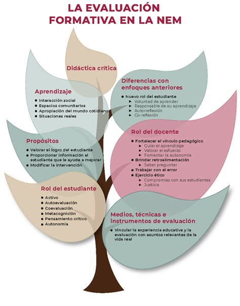 La Evaluacion Formativa En La Nem La Evaluaci N Formativa En La Nem