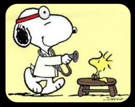 Pin By Carolyn Ford Gall On Favorite Peeps Snoopy Love Snoopy Pictures Snoopy Funny