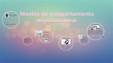 Niveles De Comportamiento Organizacional By Adanely Ojeda Mu Iz