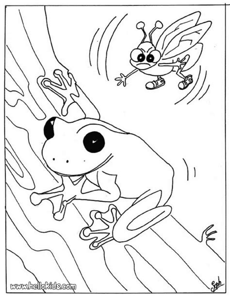 Tree Frog Coloring Pages - Coloring Home