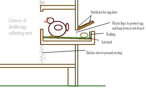 Roll Out Chicken Nesting Box Plans