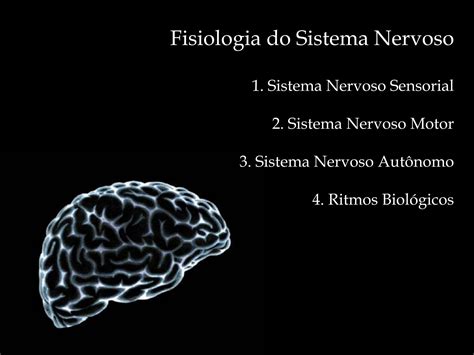 Solution Fisiologia Do Sistema Nervoso Sistema Nervoso Sensorial