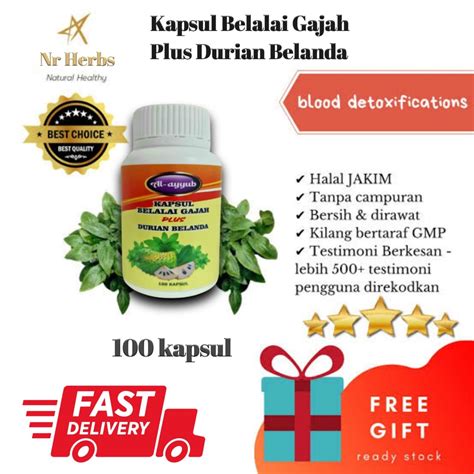 Kapsul Belalai Gajah Plus Durian Belanda Original Isi 100 Kapsul Ready