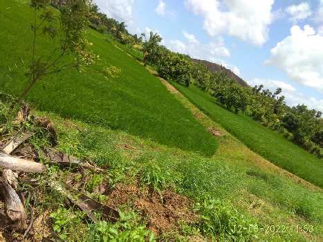 Agricultural Farm Land For Sale In Kozhinjampara Palakkad