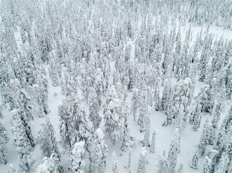 Ultimate Guide to Rovaniemi, Finland in Winter | Lapland Travel