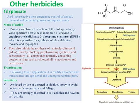 Classification Of Herbicidespptx