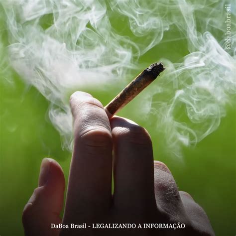 EUA Uso Adulto De Maconha Supera O Consumo De Tabaco De Acordo