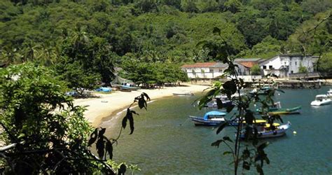 Matariz Ilha Grande Angra Dos Reis Rj Brasil