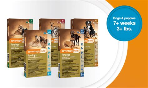 Advantage Multi® For Dogs Vet Approved Flea And Heartworm Protection