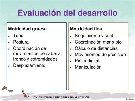 Motricidad Gruesa Y Fina Estimulacion Temprana