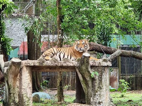 Zoo Negara Malaysia